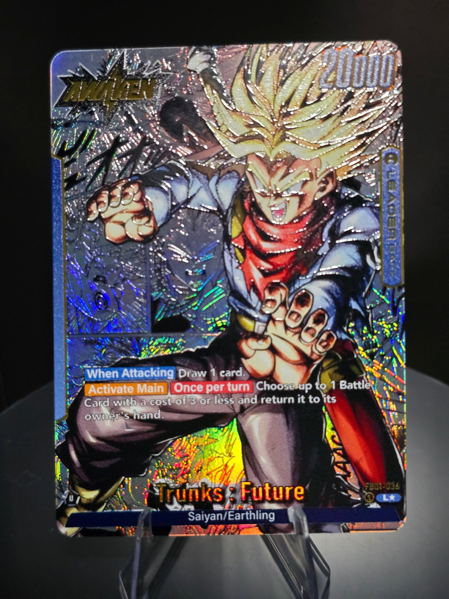FB01-036 - Trunks : Future