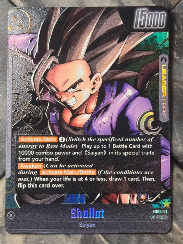 FS09-01 - Shallot