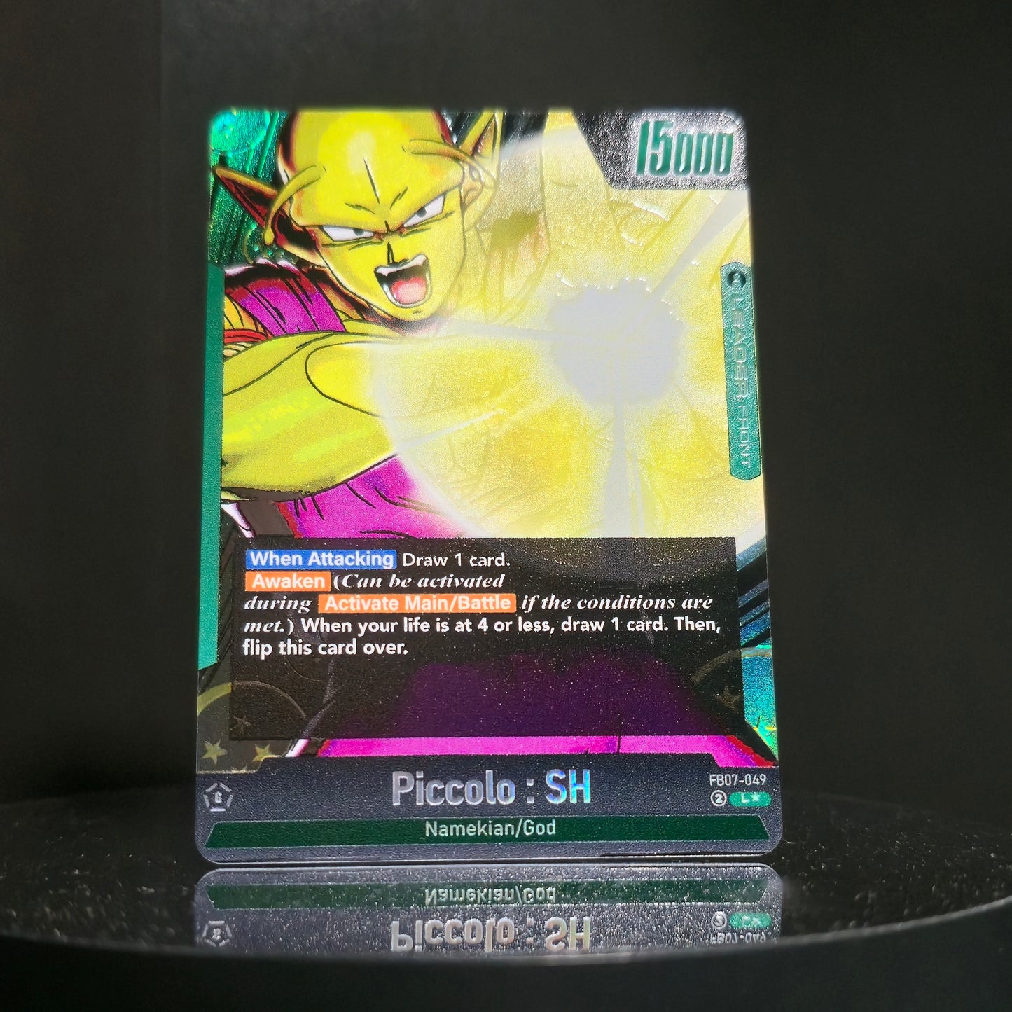 FB07-049 - Piccolo : SH