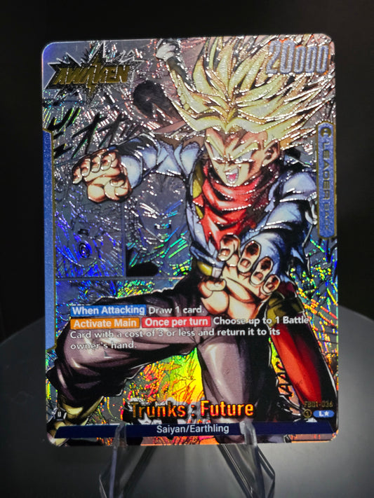 FB01-036 - Trunks : Future