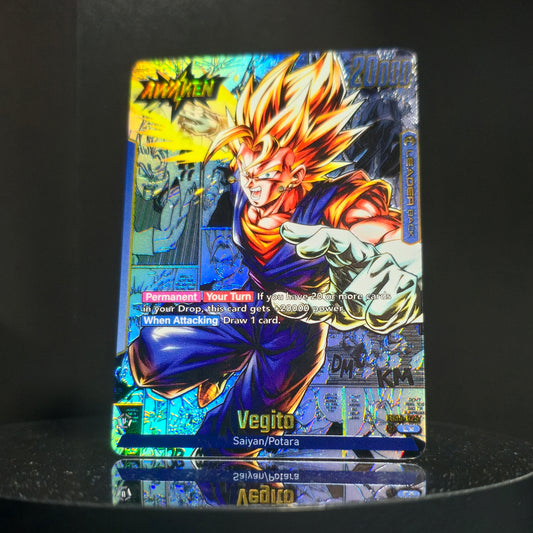 FB05-025 - Vegito