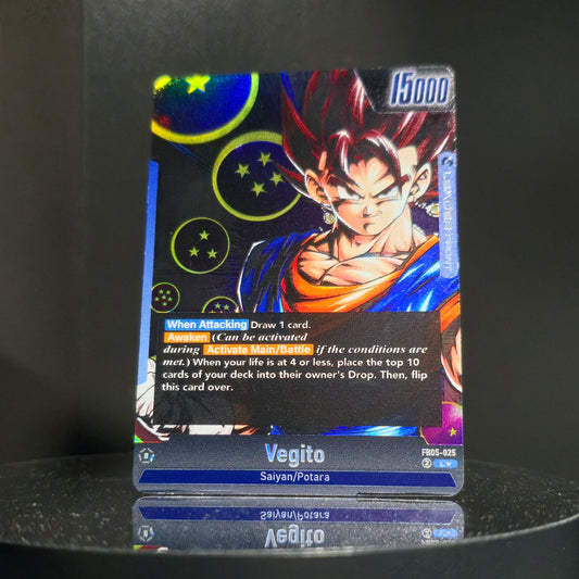 FB05-025 - Vegito